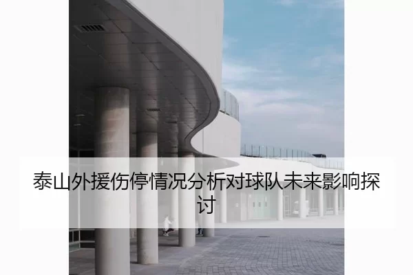 泰山外援伤停情况分析对球队未来影响探讨
